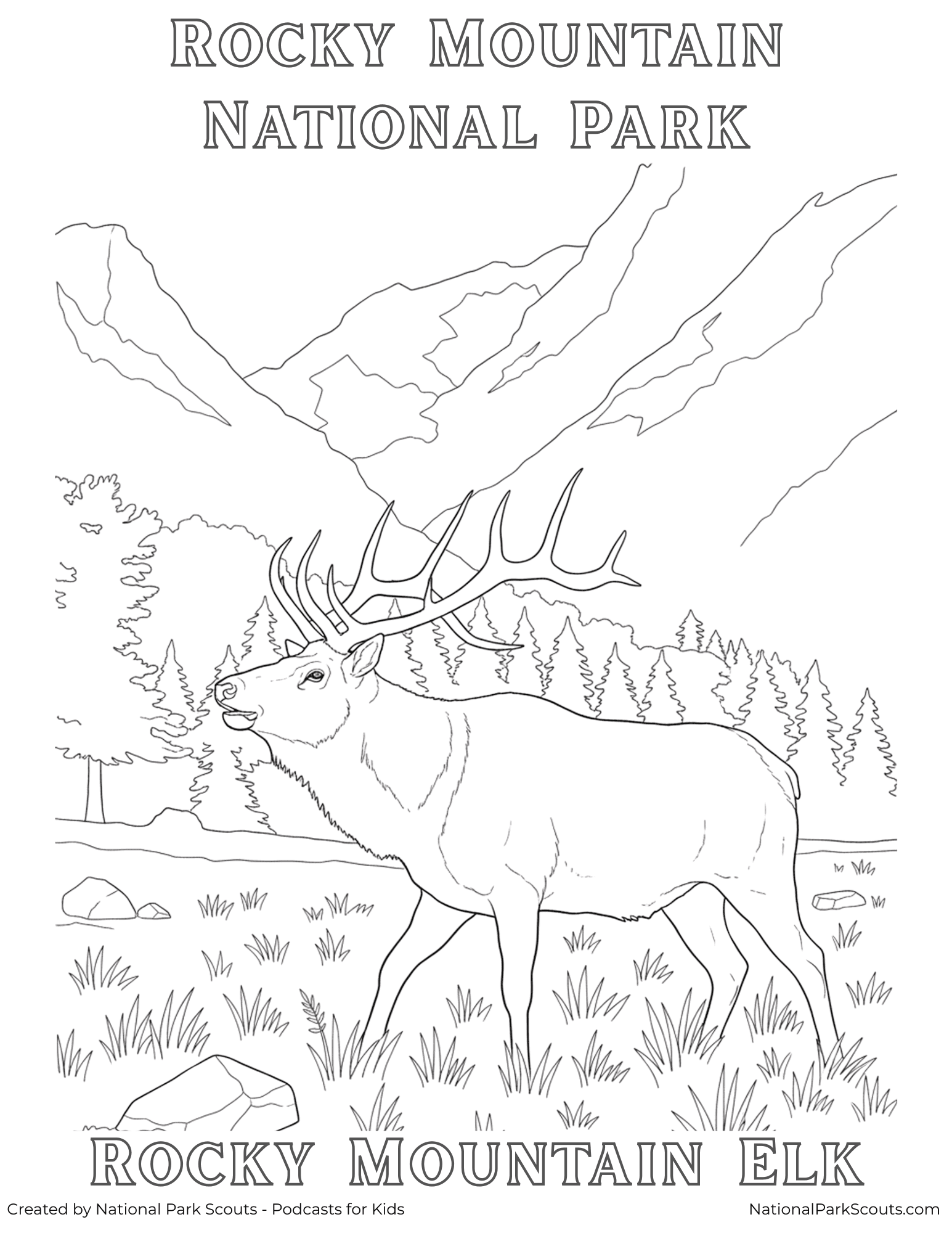 Elk coloring page - Rocky Mountain National Park