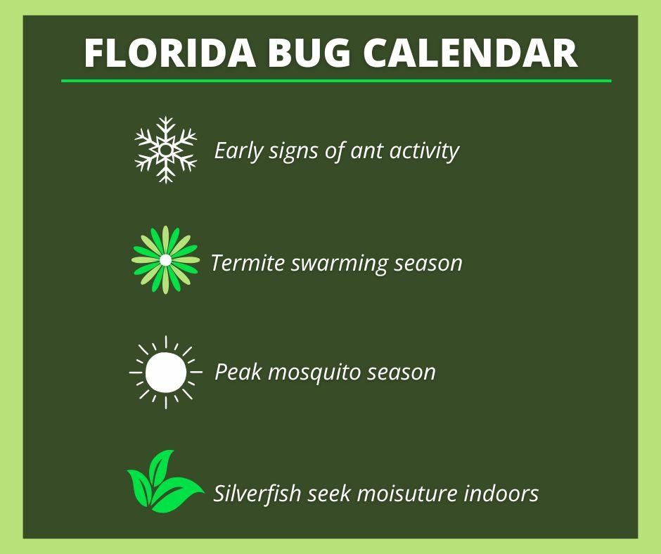 florida bug calendar and peak seasons