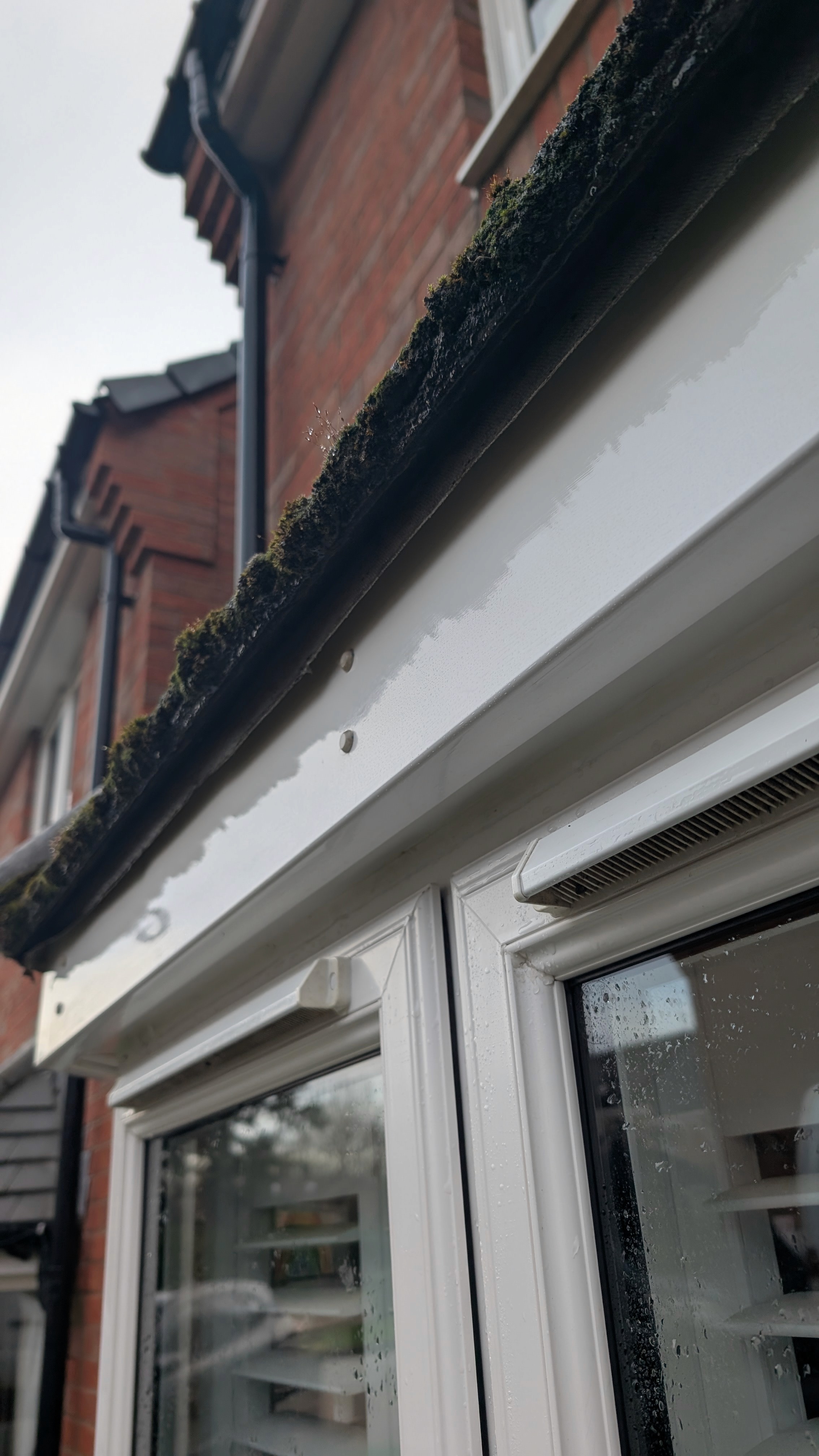 Clean white fascia boards and guttering after professional washing
