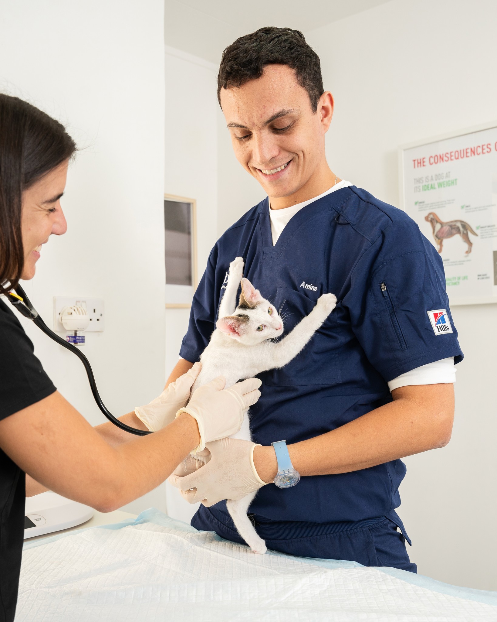 home vet services in Dubai