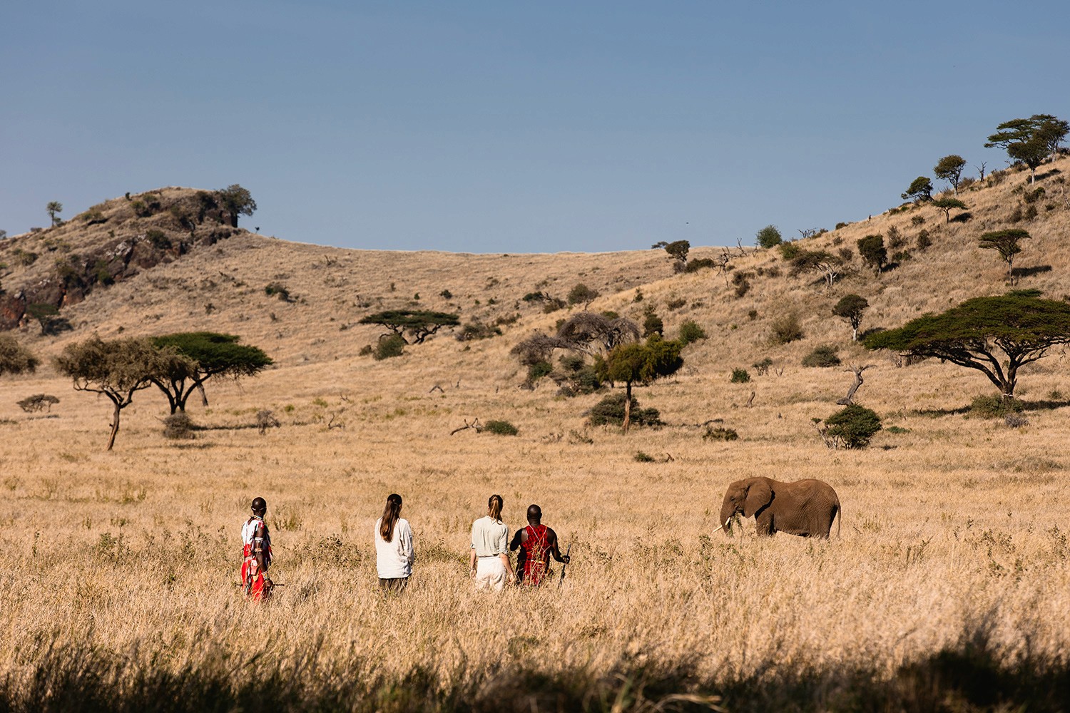 En grupp ryttare på ridsafari i Sydafrika betraktar flera noshörningar på nära håll. Ridsemester i Entabeni Game Reserve.