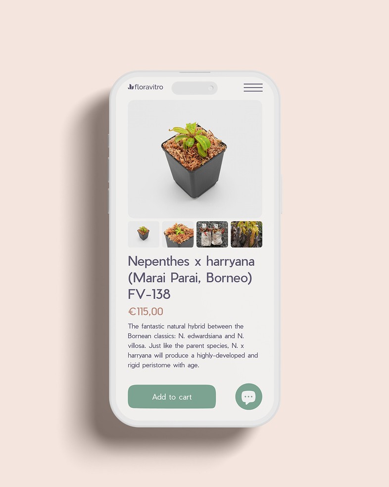 Mobile web design for plant shop