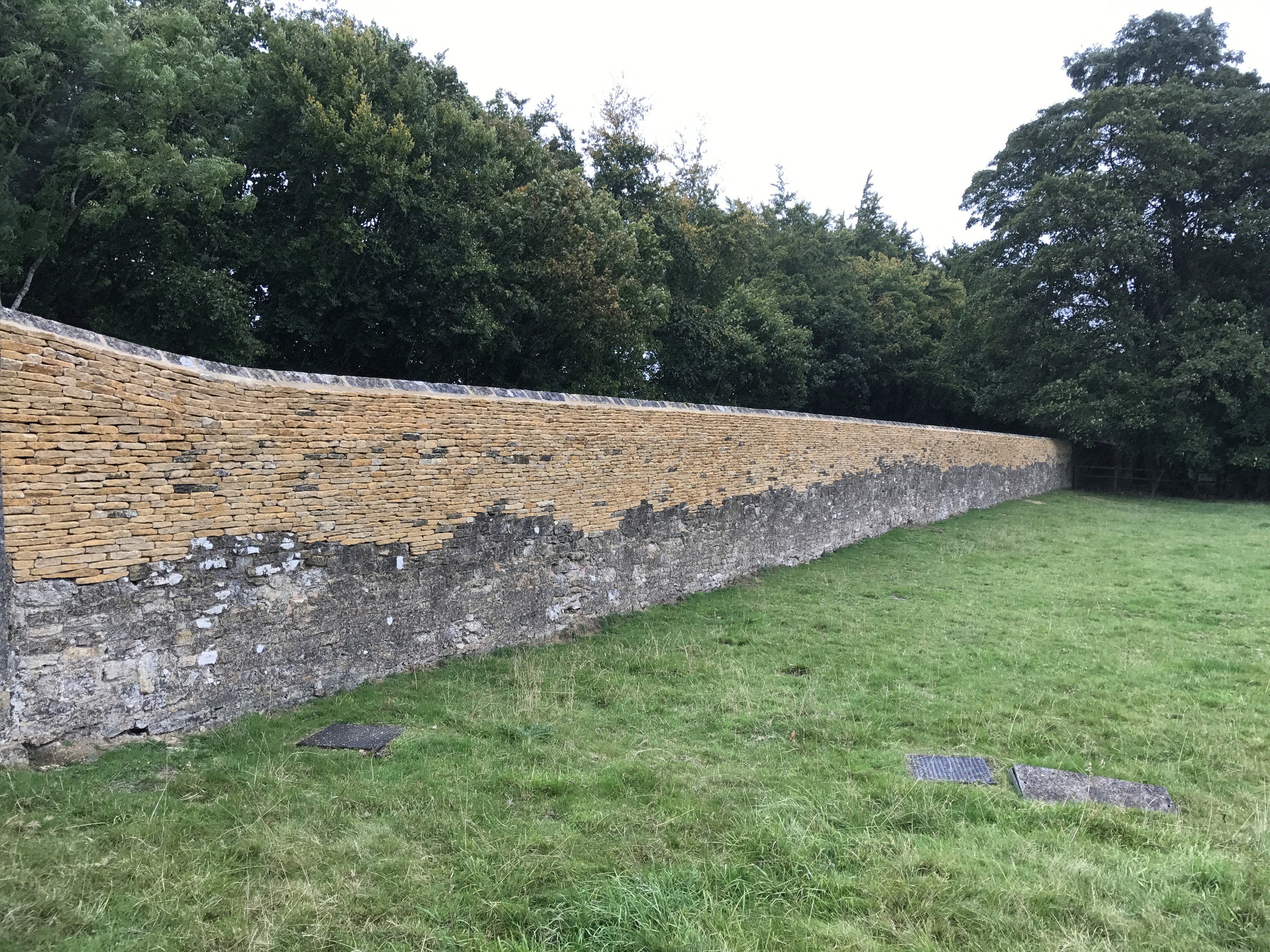 A stone wall in the middle of a forest