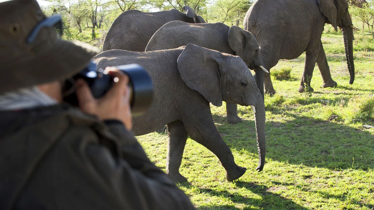 Safari & Zanzibar