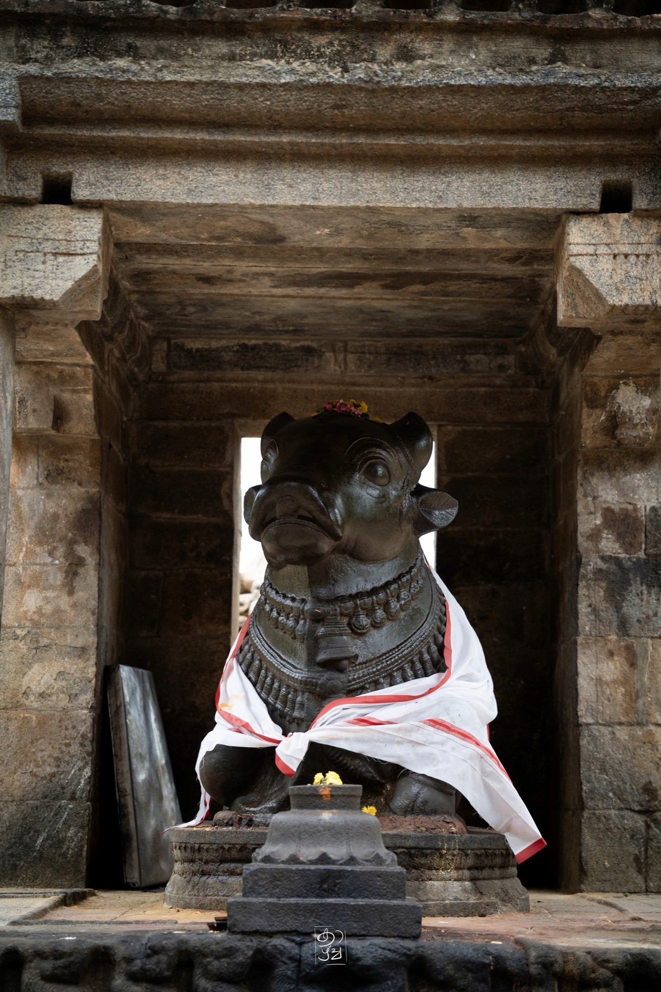 The Nandi garlanded and draped in cloth