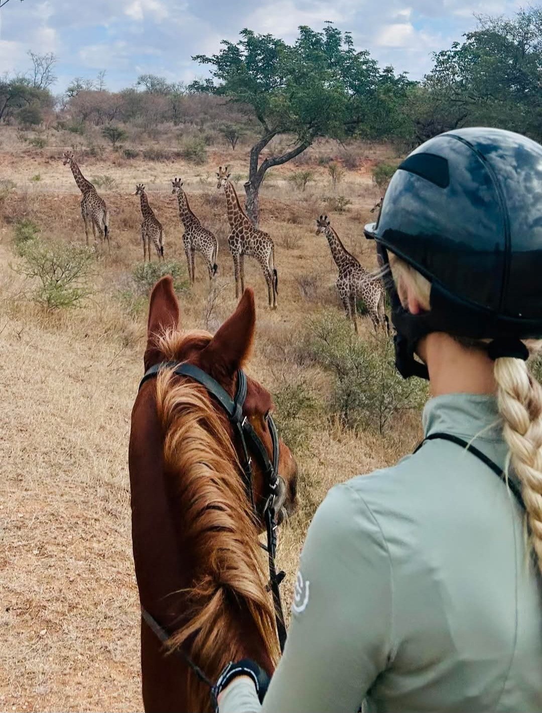 Kilimanjaro Elephant Ride, Arusha National Park, Tanzania – elefant i högt gräs tittar mot kameran, medan fem ryttare till häst på ridsafari i bakgrunden betraktar elefanten i ett grönt och frodigt landskap.