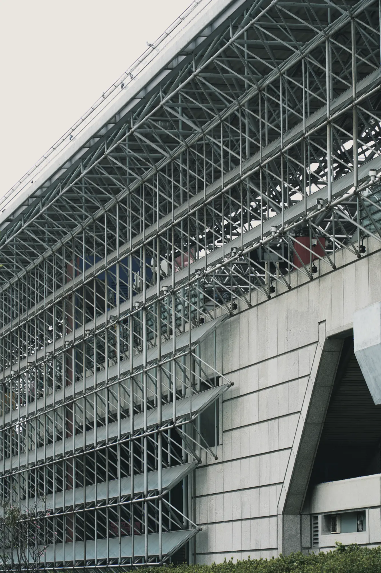 Two jellyfish with pink stripes swim in blue water