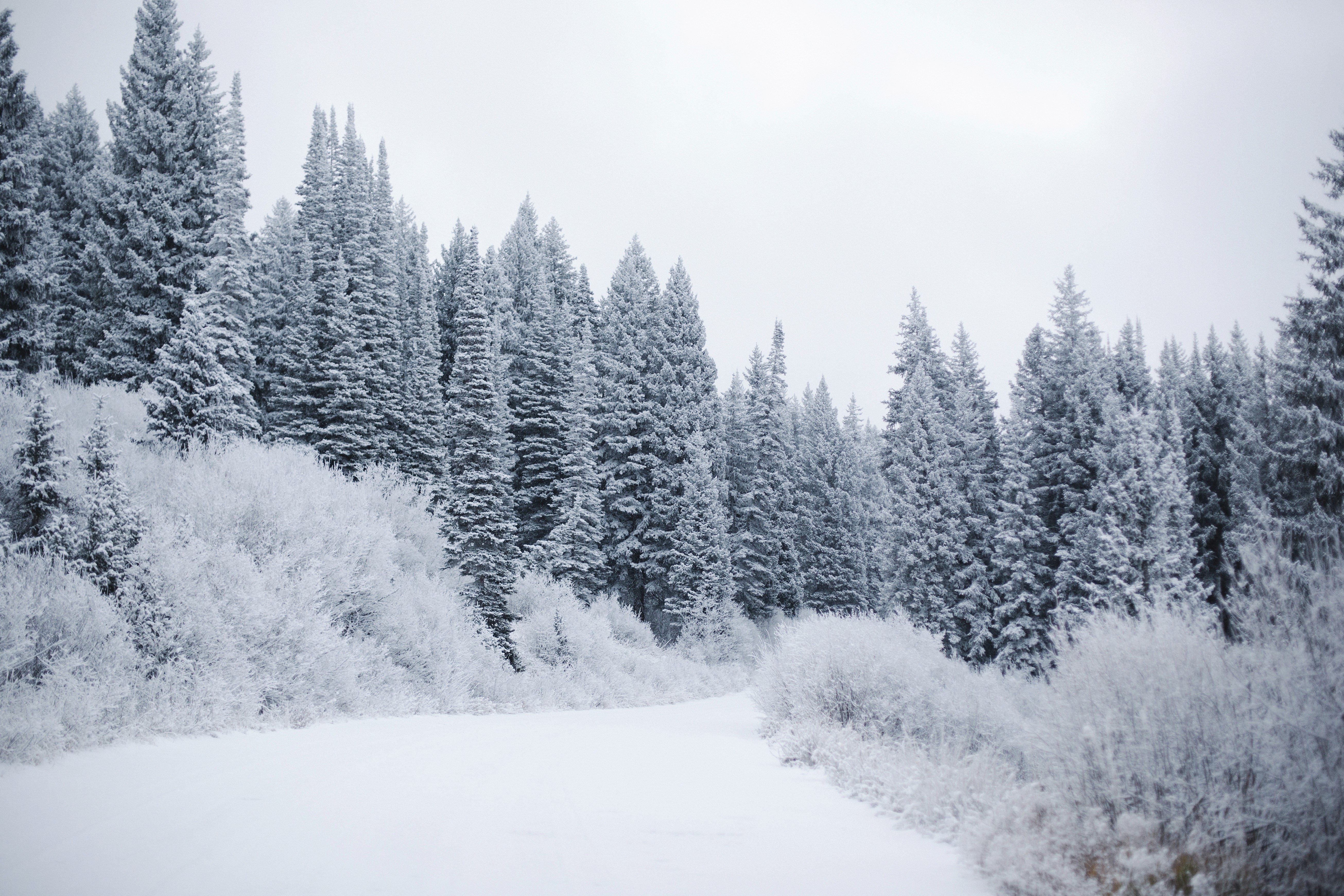 Colorado Rocky Mountain Landscape