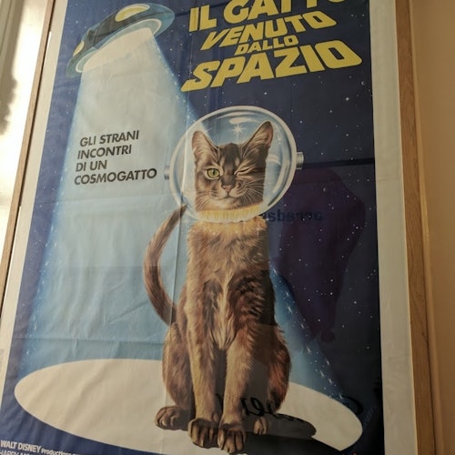 Een vintage stijl poster van een kat in een ruimtepak met Italiaanse tekst, met een UFO en een sterrenachtergrond.