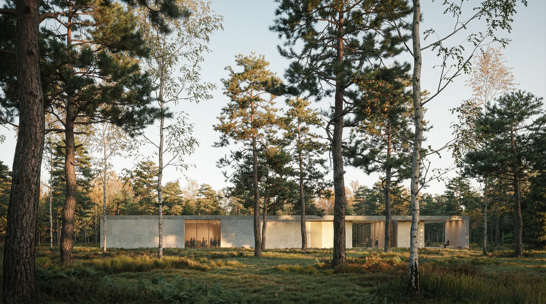 Pavilion approach through pine trees at dusk — Loenen competition render