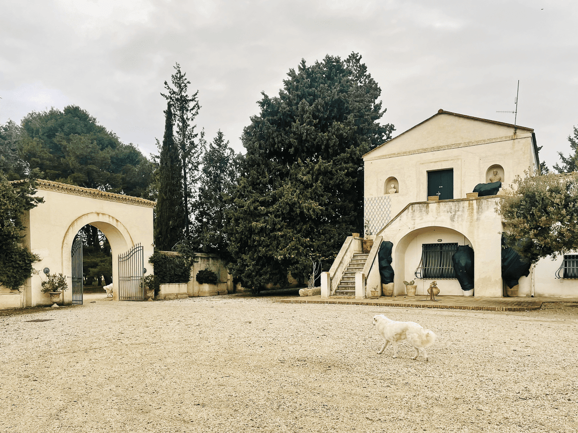 Azienda Agricola Paolo Petrilli