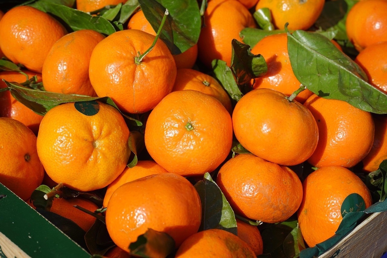 clementines,-fruit,-vitamins,-clementine,-citrus-×-aurantium,-hybrid,-citrus-pla - hans (pixabay)