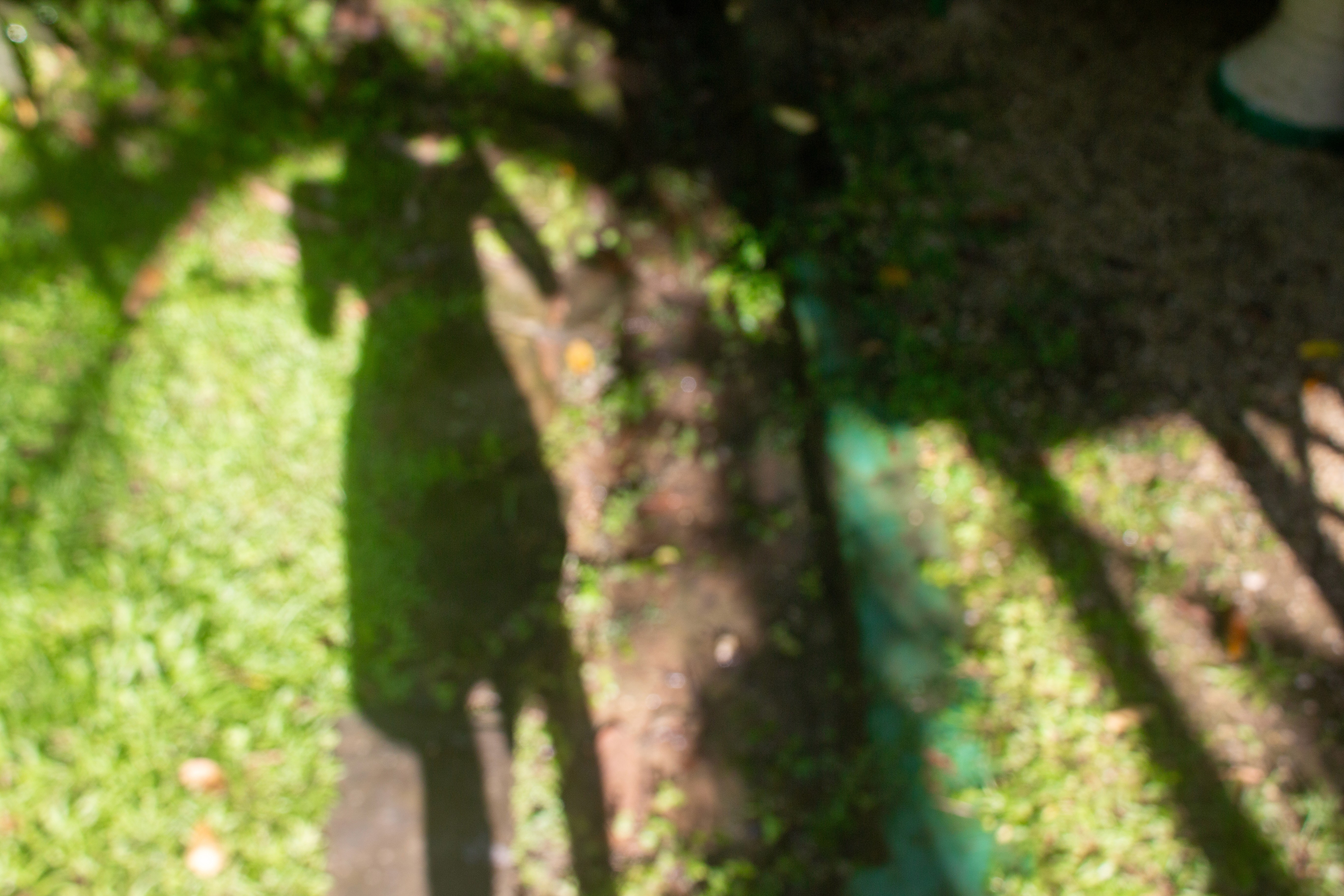 Placeholder gradient 2