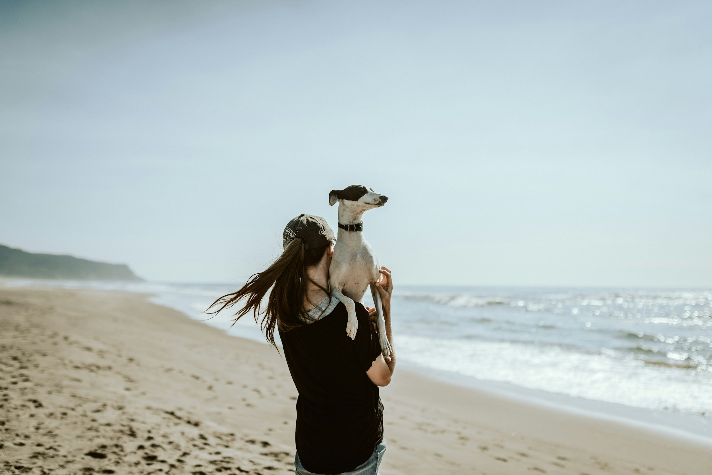 A woman holding a small black-and-white dog on a sunlit beach
