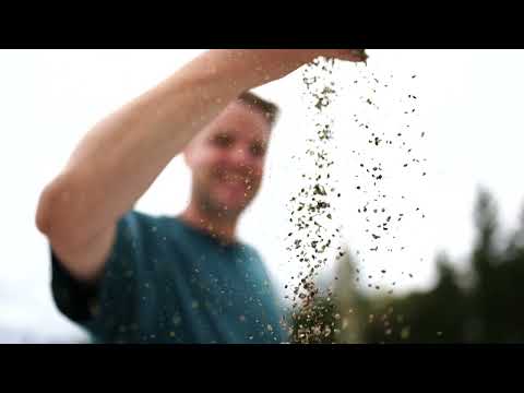 Video thumbnail for the story behind The Brothers Green.
