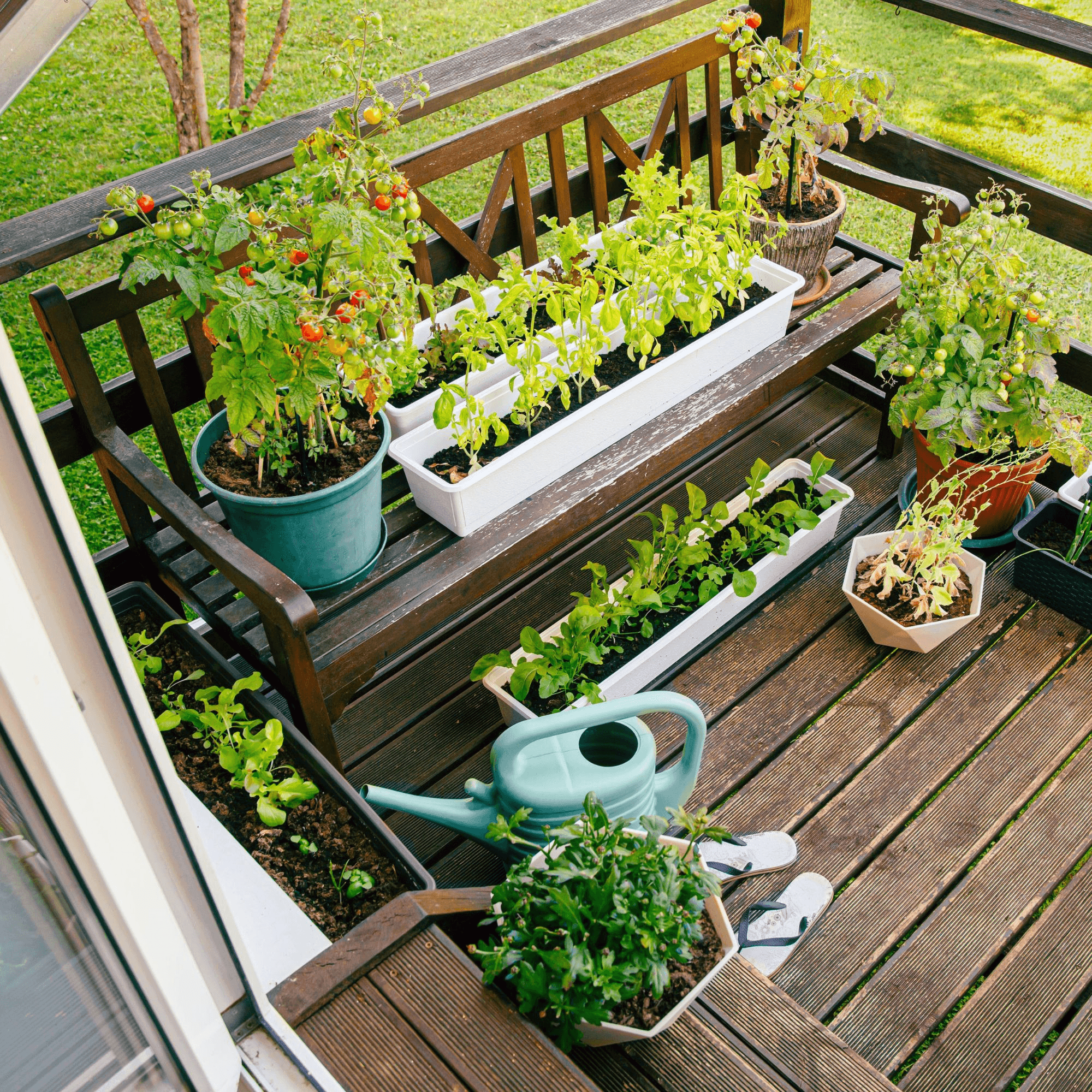 Garden design