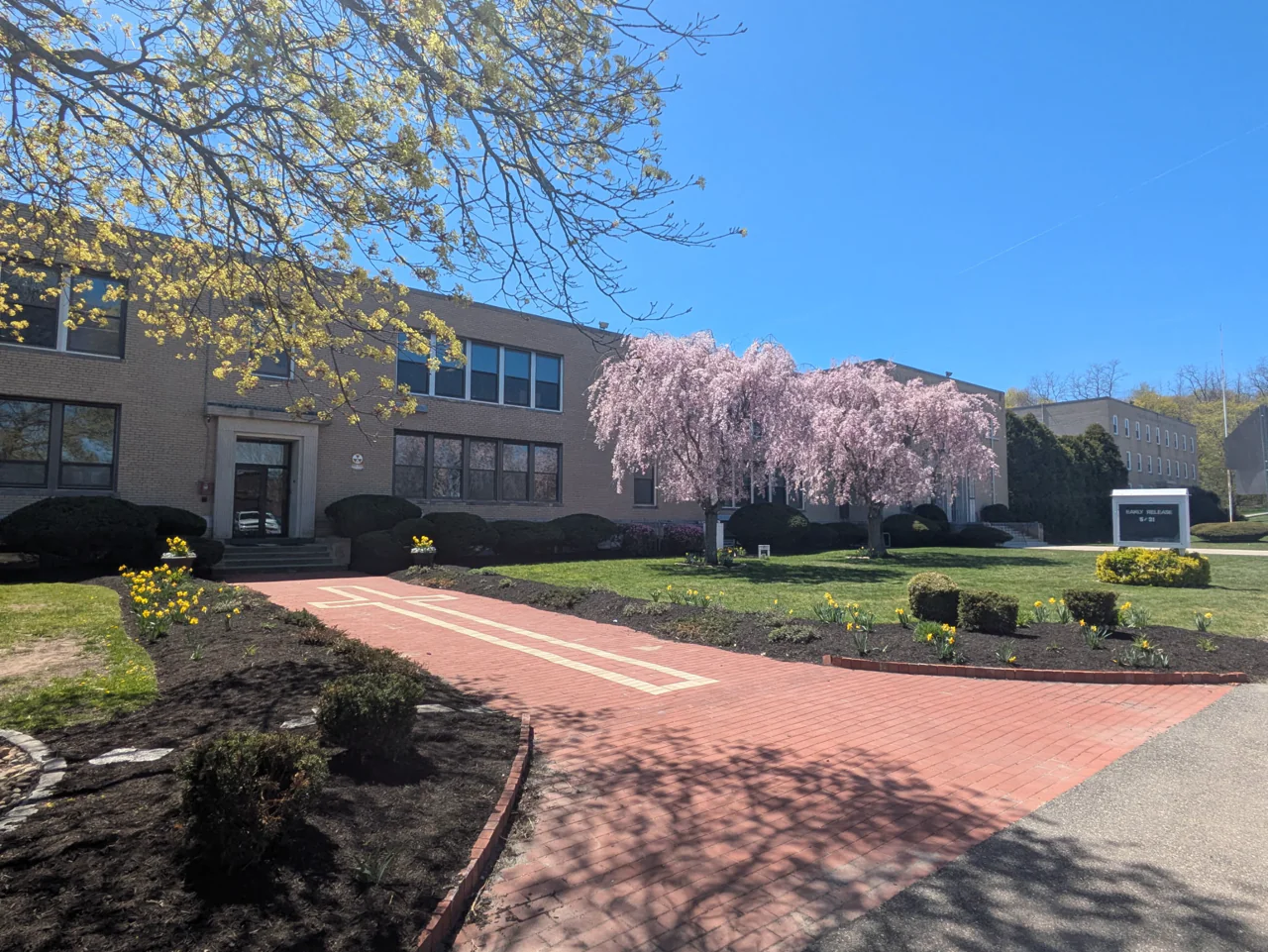 The brick school building in spring with a blossoming tree by the walkway