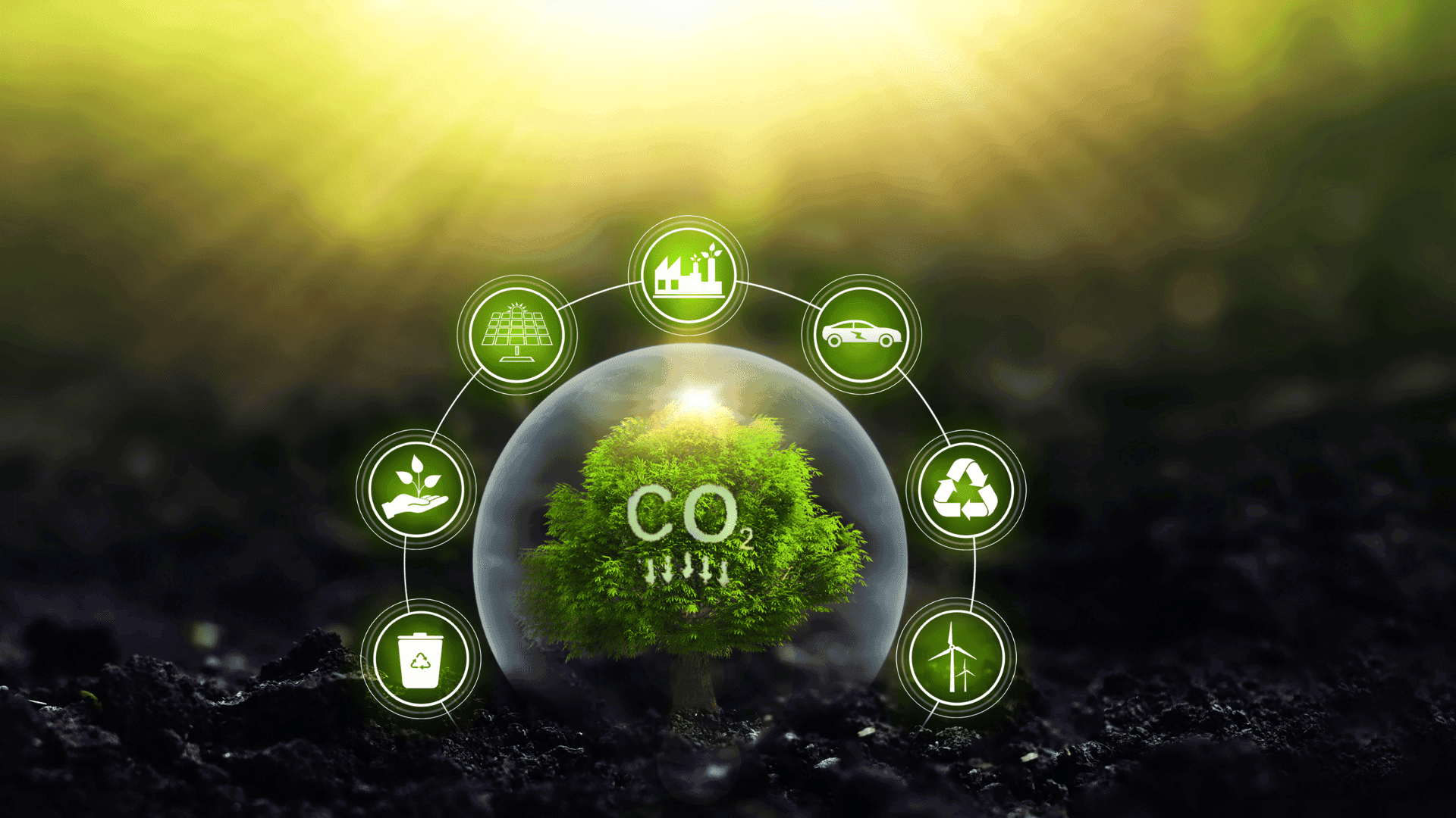 Green CO₂ reduction concept showing a tree protected by a glass dome with renewable energy and sustainability icons representing eco-friendly solutions.