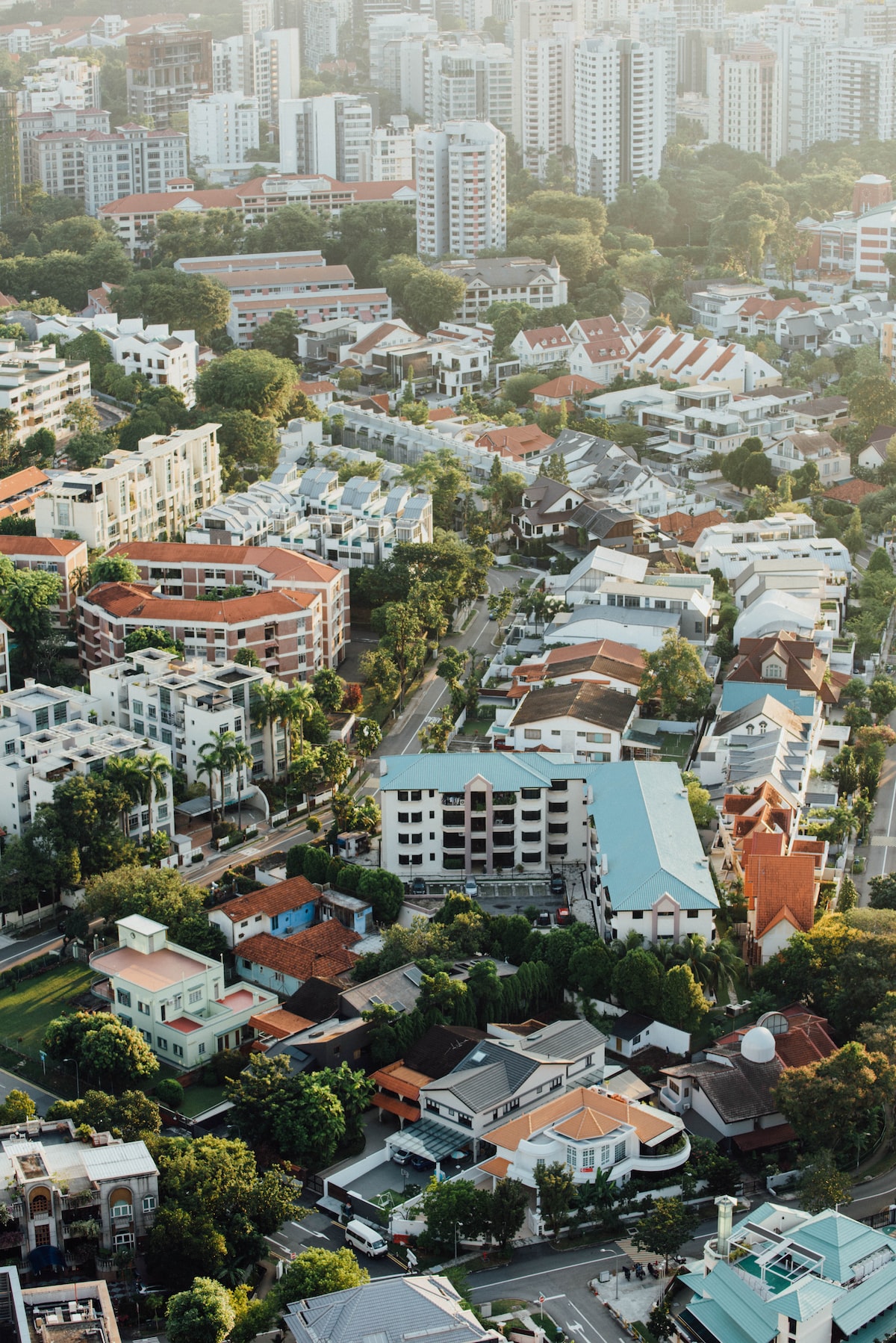 Urban Jungle