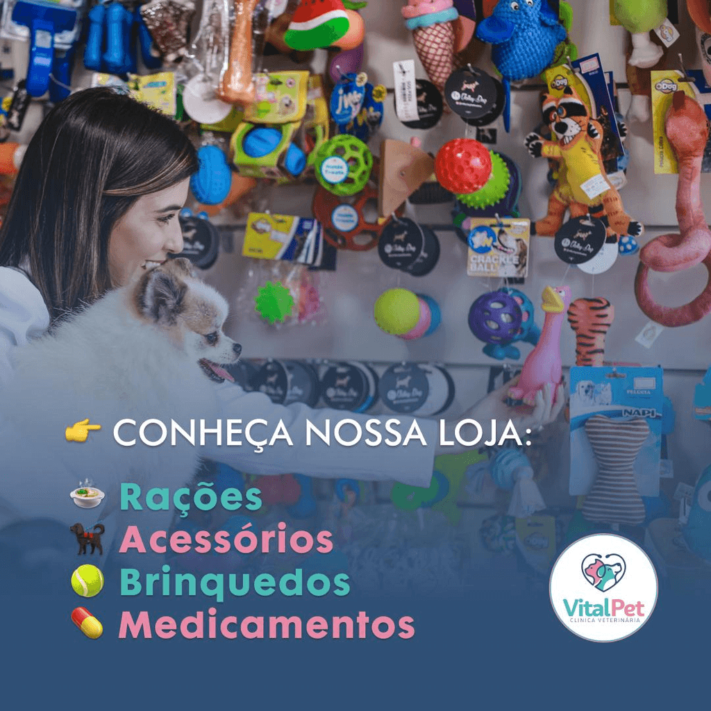 Loja Vital Pet - Oferecemos rações, acessórios, brinquedos e medicamentos para pets. Tudo que você precisa para cuidar do seu animal de estimação com produtos de qualidade.