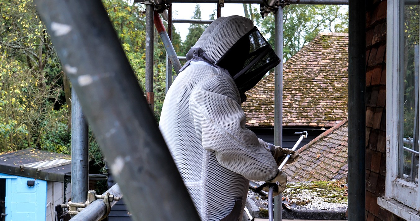 Pigeon Stopping Spikes on the ledge of windows to prevent and protect