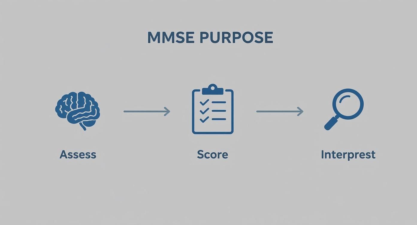 Diagram illustrating the MMSE purpose: assess, score, and interpret, represented by brain, clipboard, and magnifying glass icons.