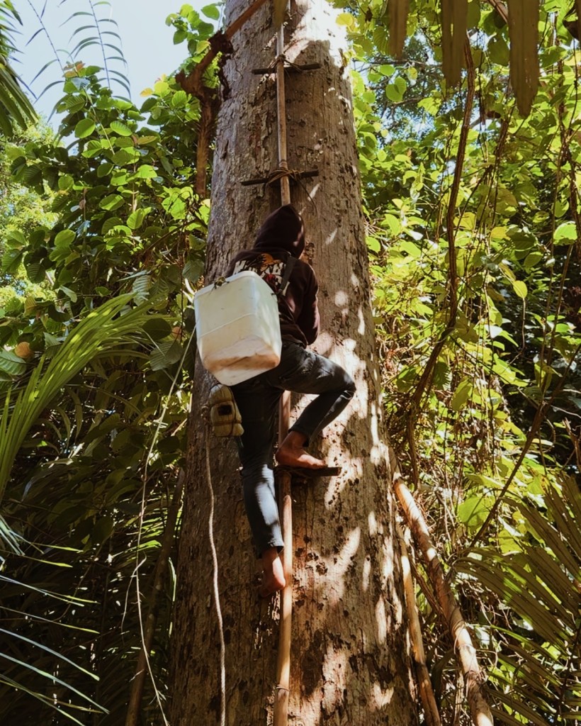 A person climbs a tall tree in a lush green forest, using a makeshift ladder. They are wearing a dark hoodie and have a backpack attached, barefoot.