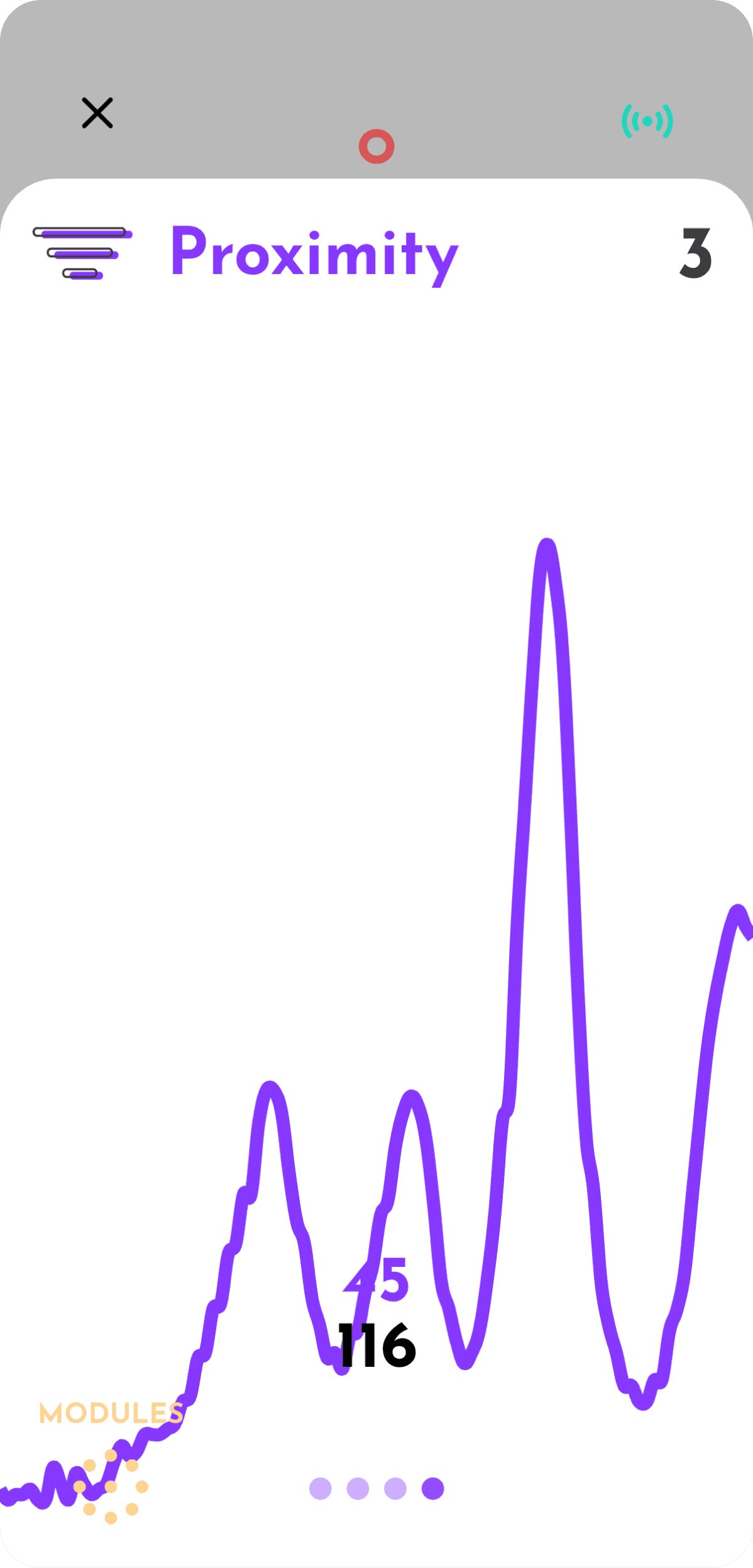 bed of orange flowers