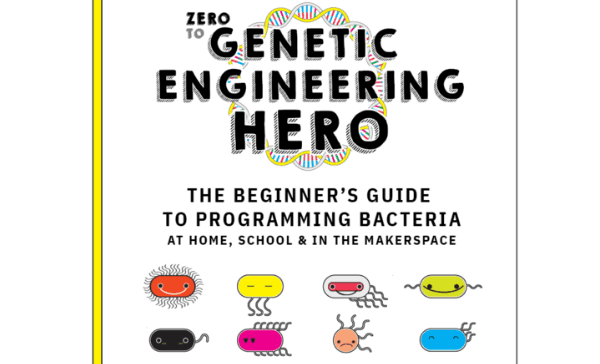 Insert alt text here