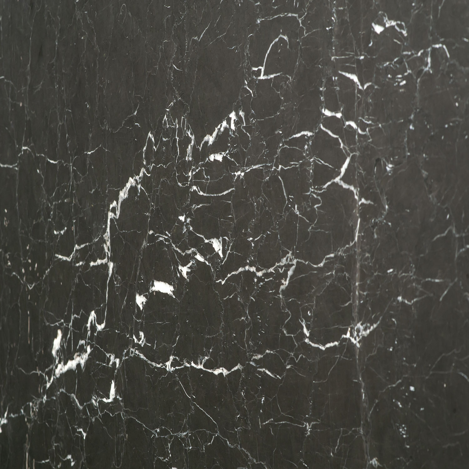 Classic Black Marmor mit markanten weißen Maserungen