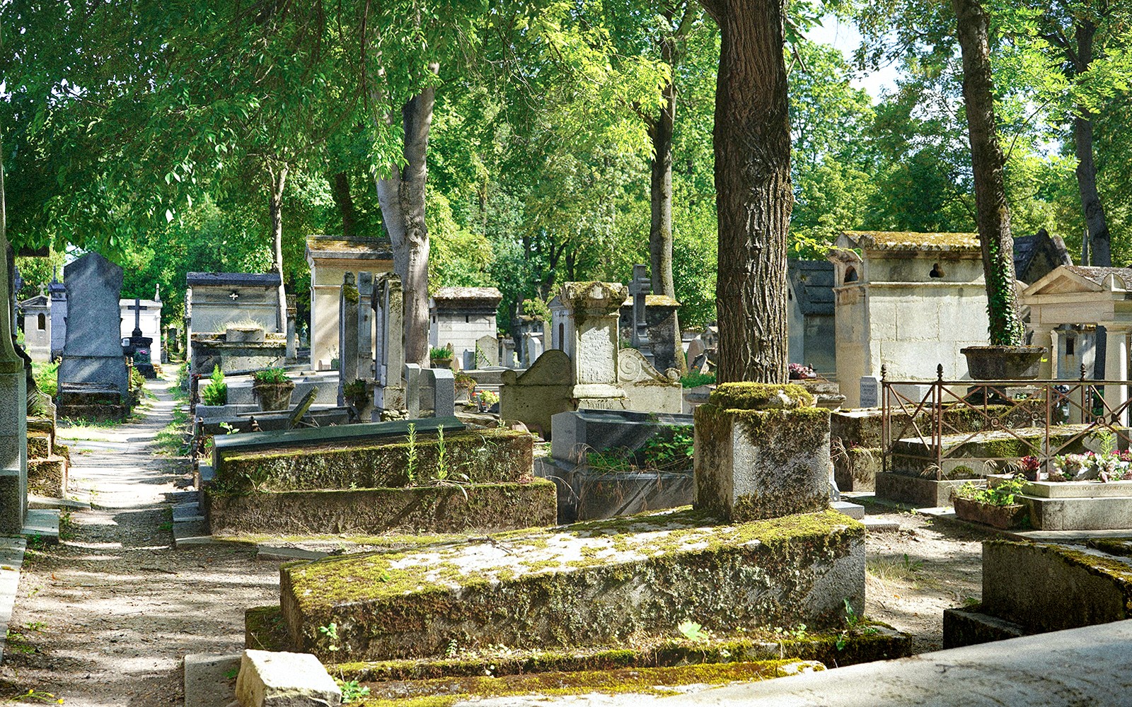 在巴黎参加佩尔拉雪兹公墓的导览游，欣赏墓碑和树木。