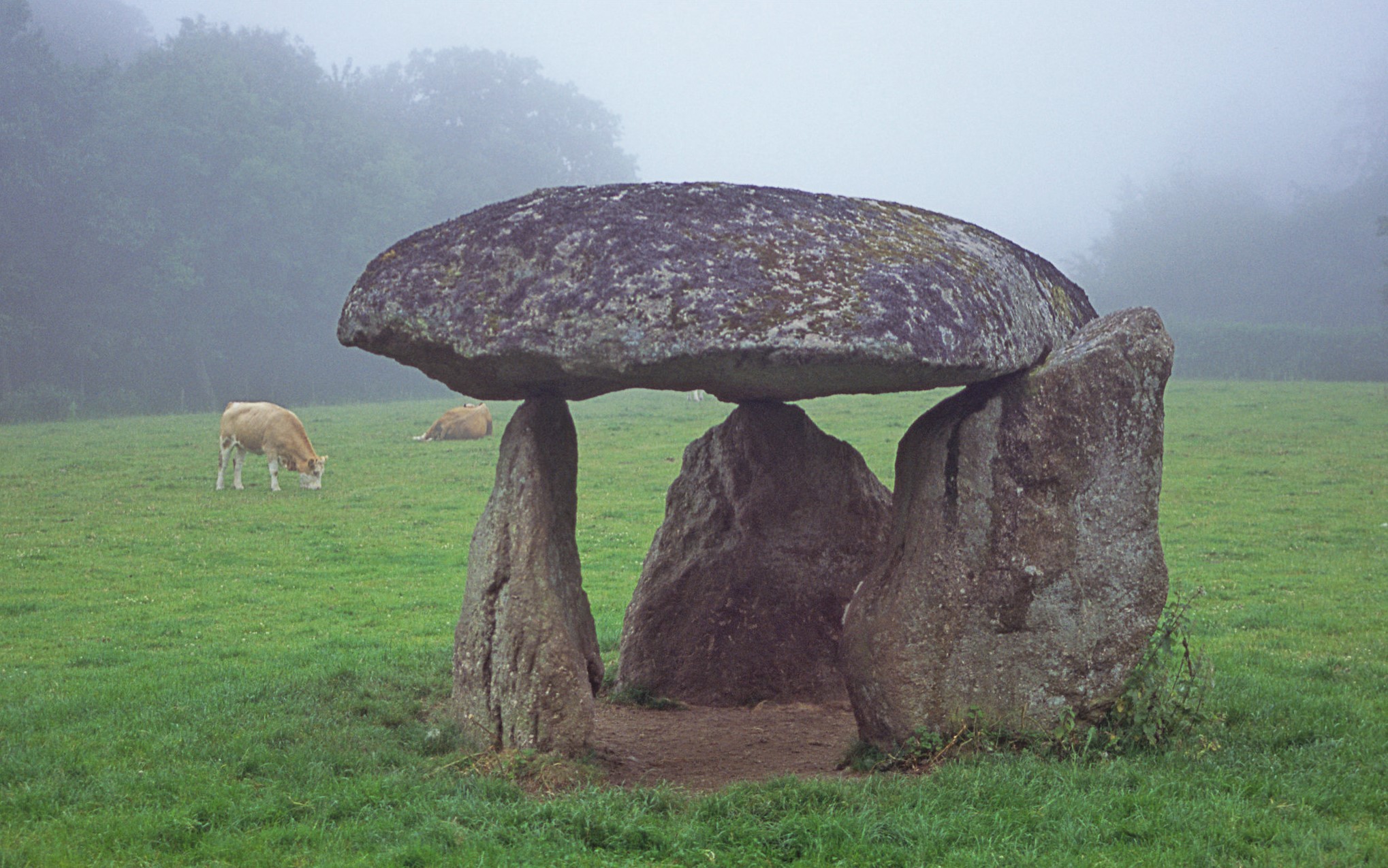 House on a slope concept image