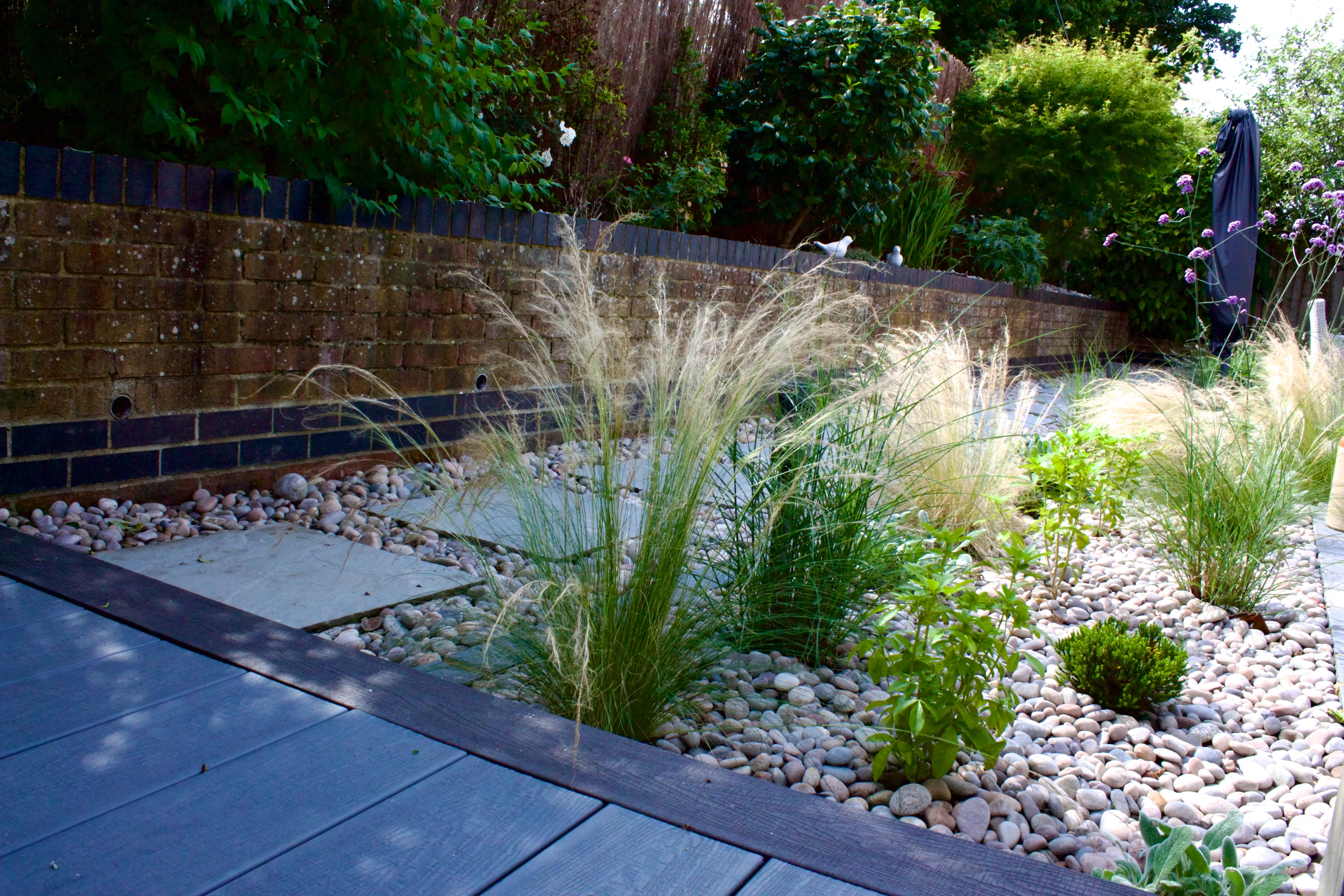 A landscaped area with ornamental grasses and pebbles, bordered by a wooden fence in the background.