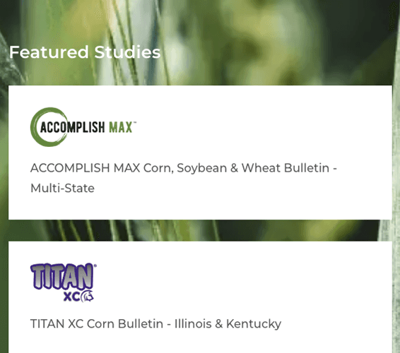 Master window cleaner