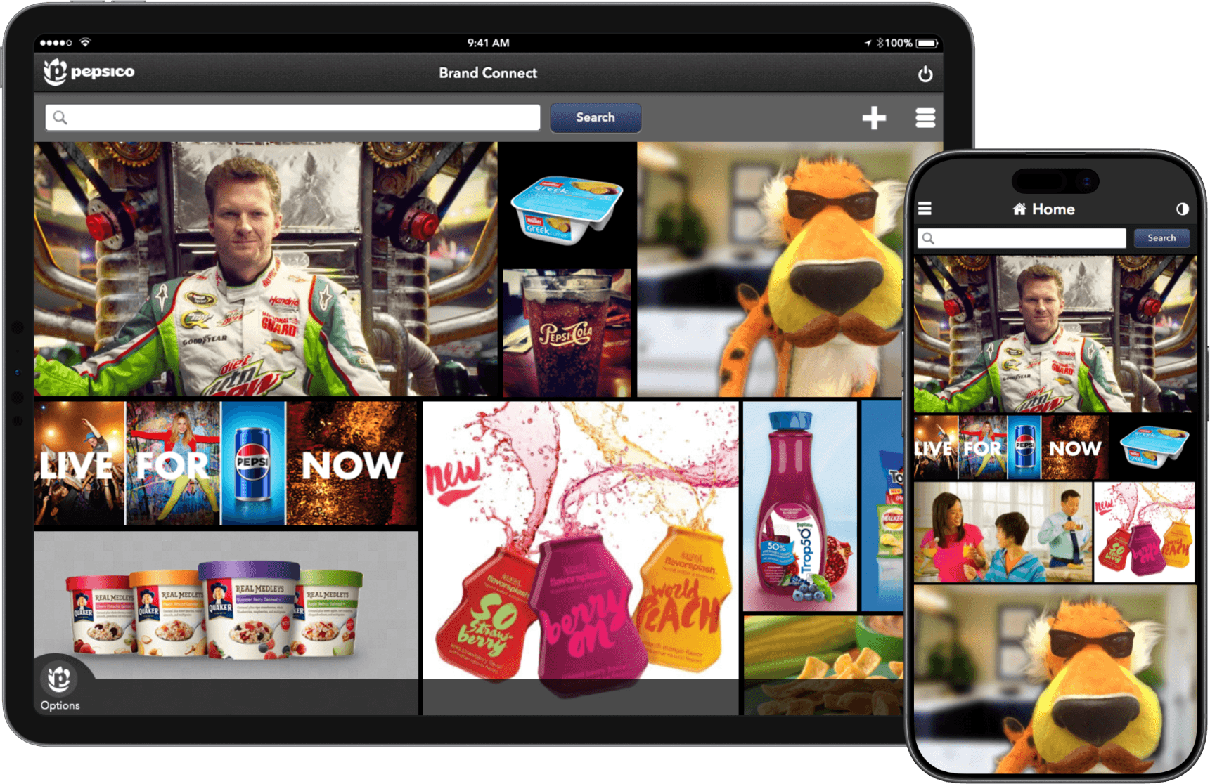 PepsiCo Brand Connect digital assets on iPad and mobile