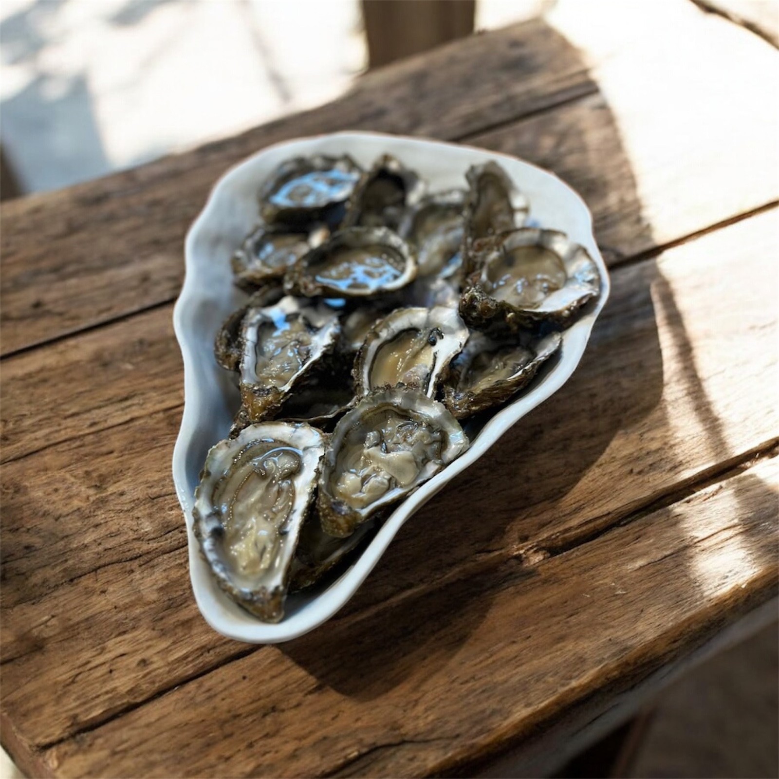 Plat en céramique blanche de forme organique garni d'huîtres fraîches ouvertes, posé sur une table en bois brut en plein soleil