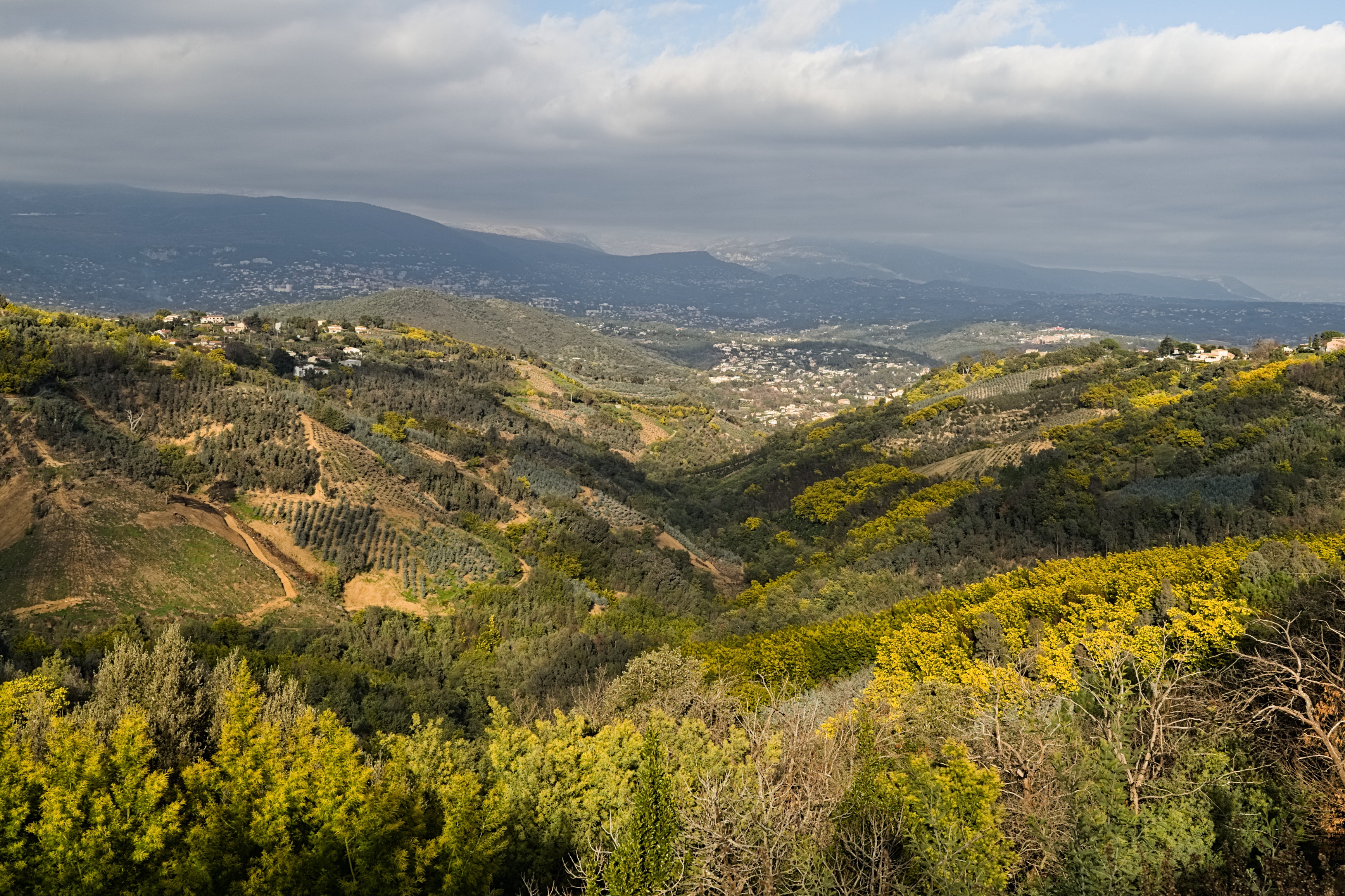 Mas en Provence site vue Grasse