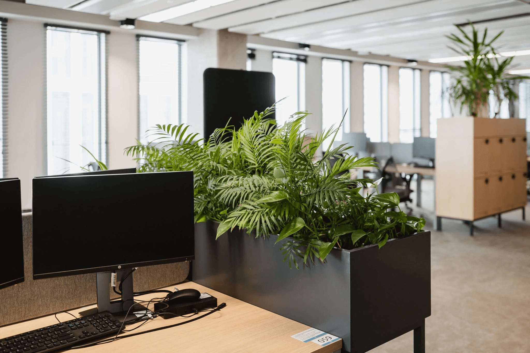 biuro obługiwane przez officejungle