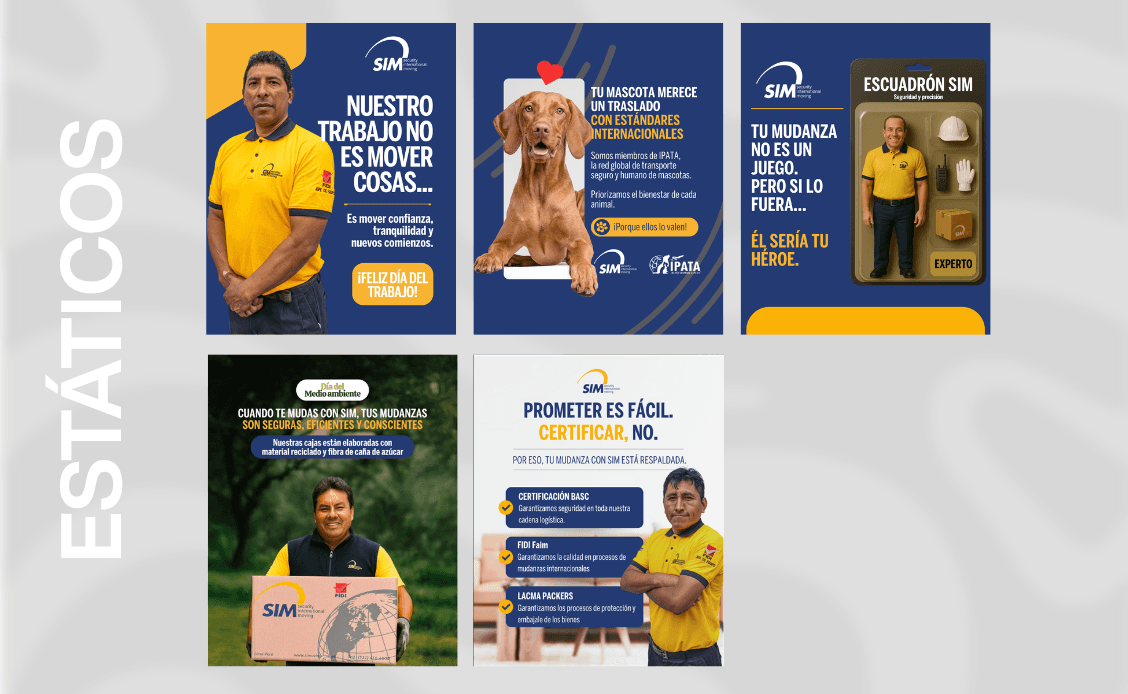 diseño gráfico y creación de contenidos