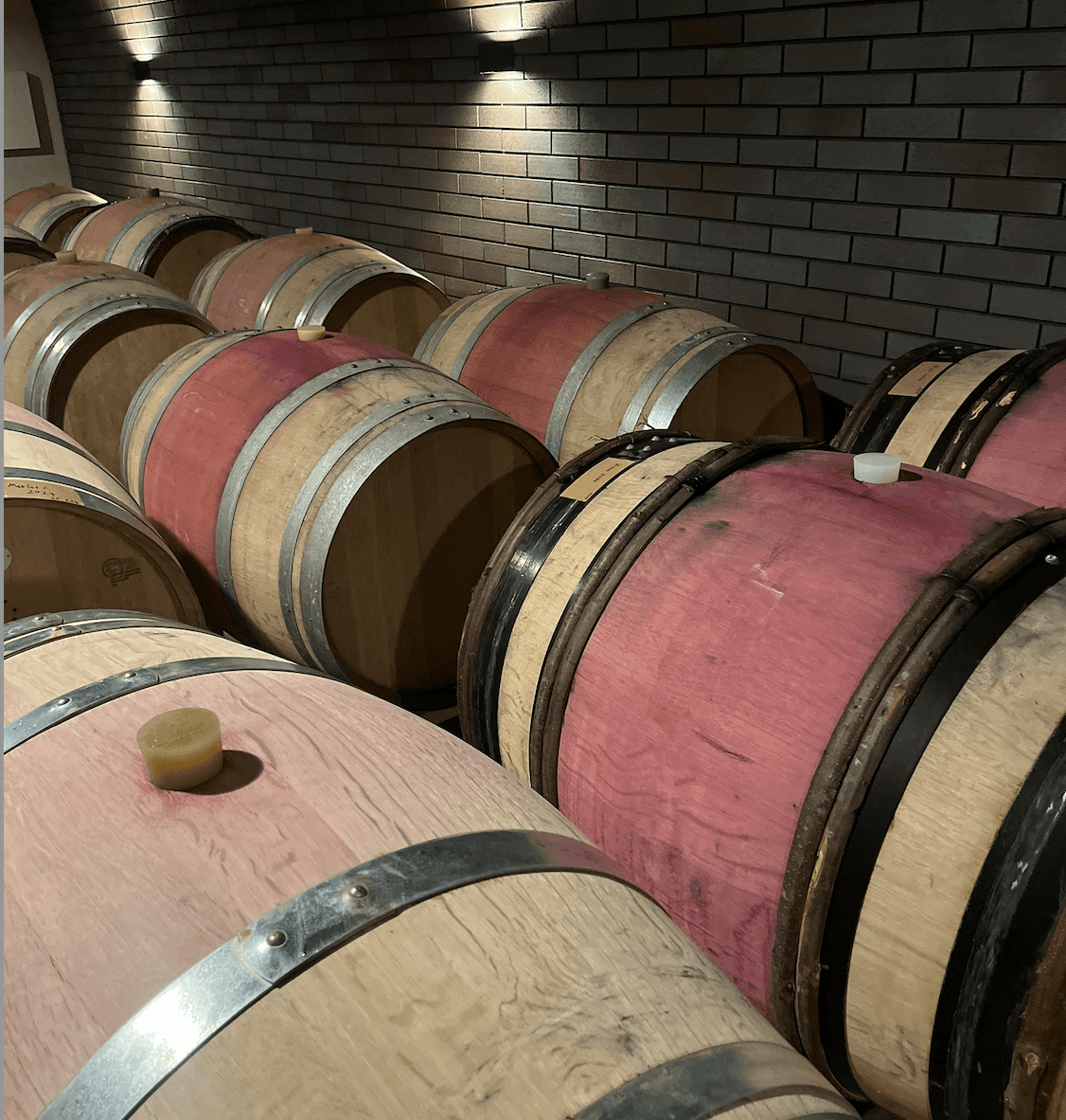 oak barrels with red wine inside