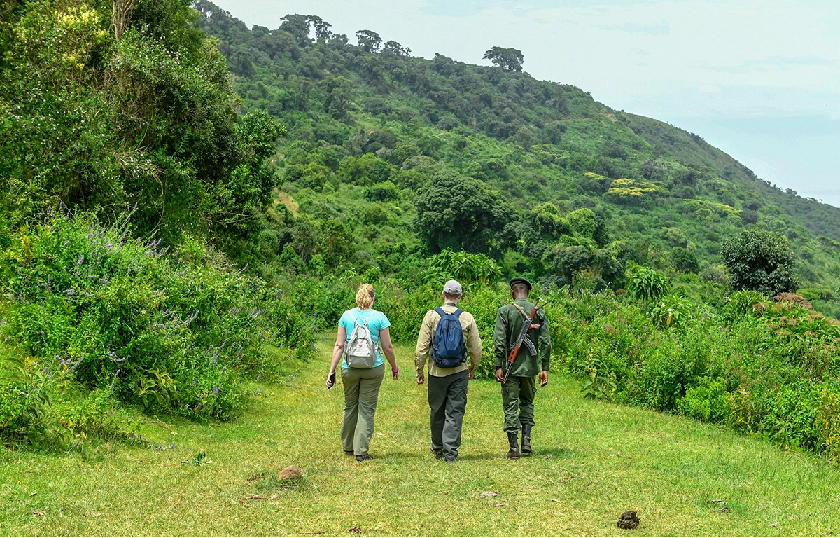 3 travelersm are walking in the moutain