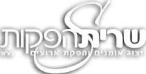 Logo 4