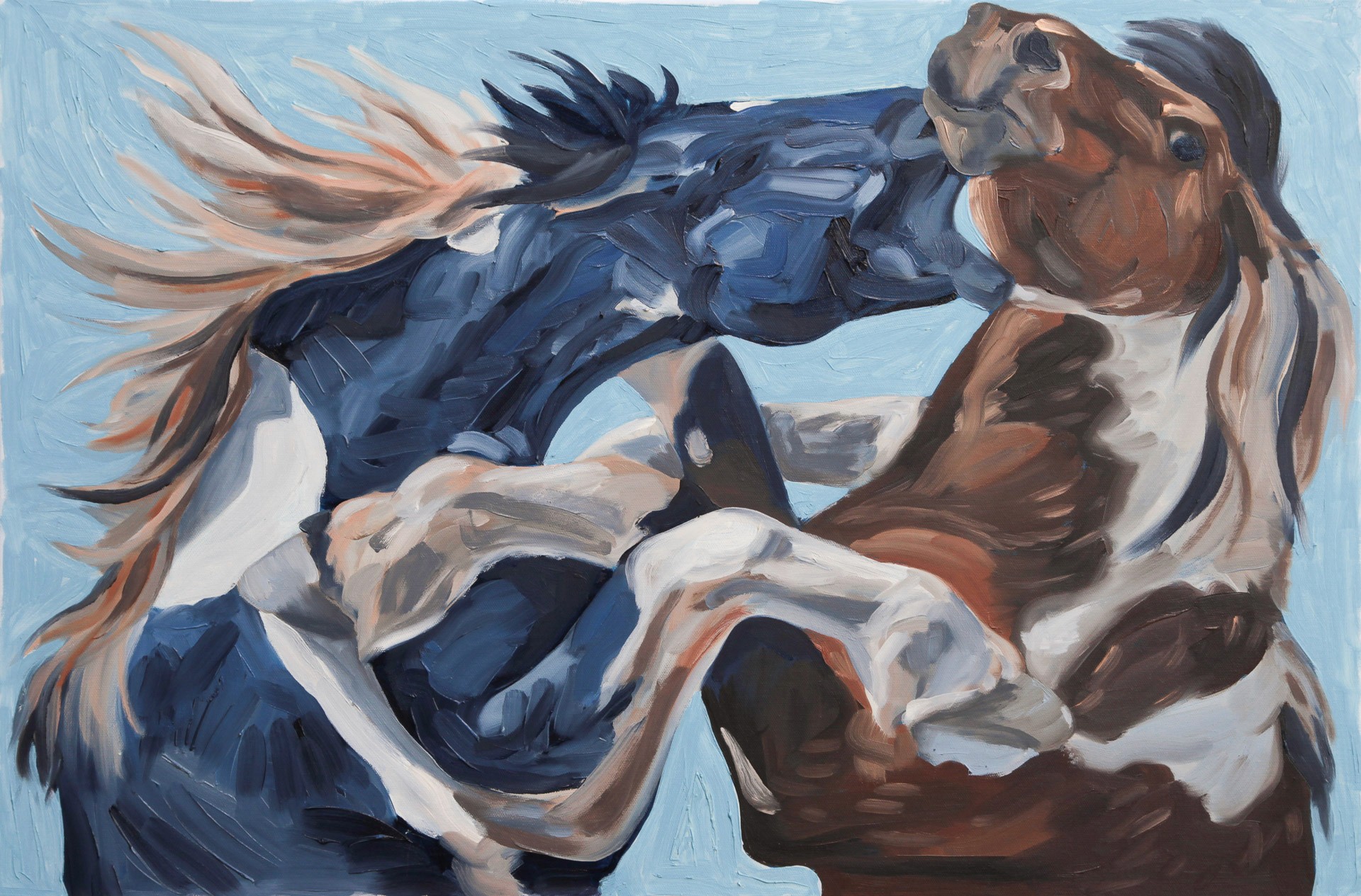 Two horses seen from the shoulders up, one blue and one brown, playfighting
