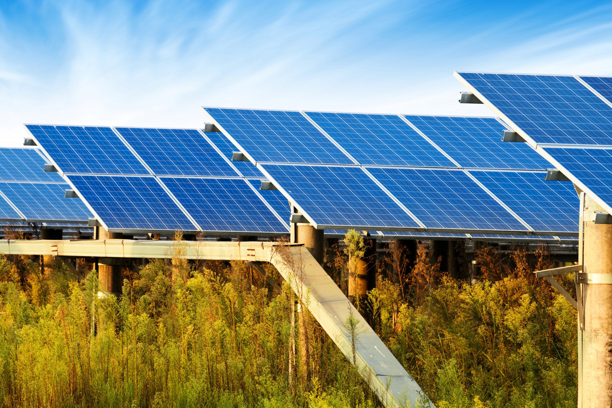 太陽能光伏發電系統工程 可再生能源系統 太陽能系統服務 可再生能源上網電價計劃 村屋太陽能發電系統 太陽能解決方案 太陽能發電系統 零投資太陽能計劃 太陽能安裝 太陽能維護 香港太陽能 太陽能公司 太陽能供應商 太陽能專家 綠色能源解決方案 商業太陽能 村屋太陽能 太陽能工程 天台太陽能工程 裝太陽能要多少錢 香港沒有哪種可再生能源 太陽能自用 需要申請嗎 違建可以裝太陽能板嗎 太陽能光伏系統安裝指南 太陽能板小型工程 安裝太陽能板壞處 安裝太陽能板費用 太陽能板安裝方法 太陽能板安裝指引 安裝太陽能板注意事項 村屋太陽能板屋宇署