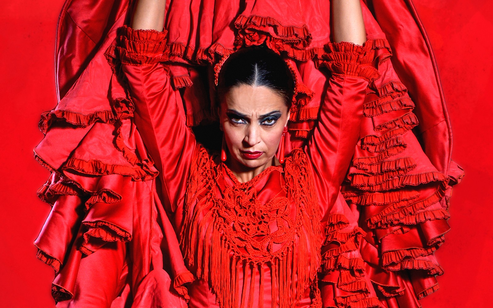 Flamenco dancer in red dress performing Pasión espectáculo flamenco.