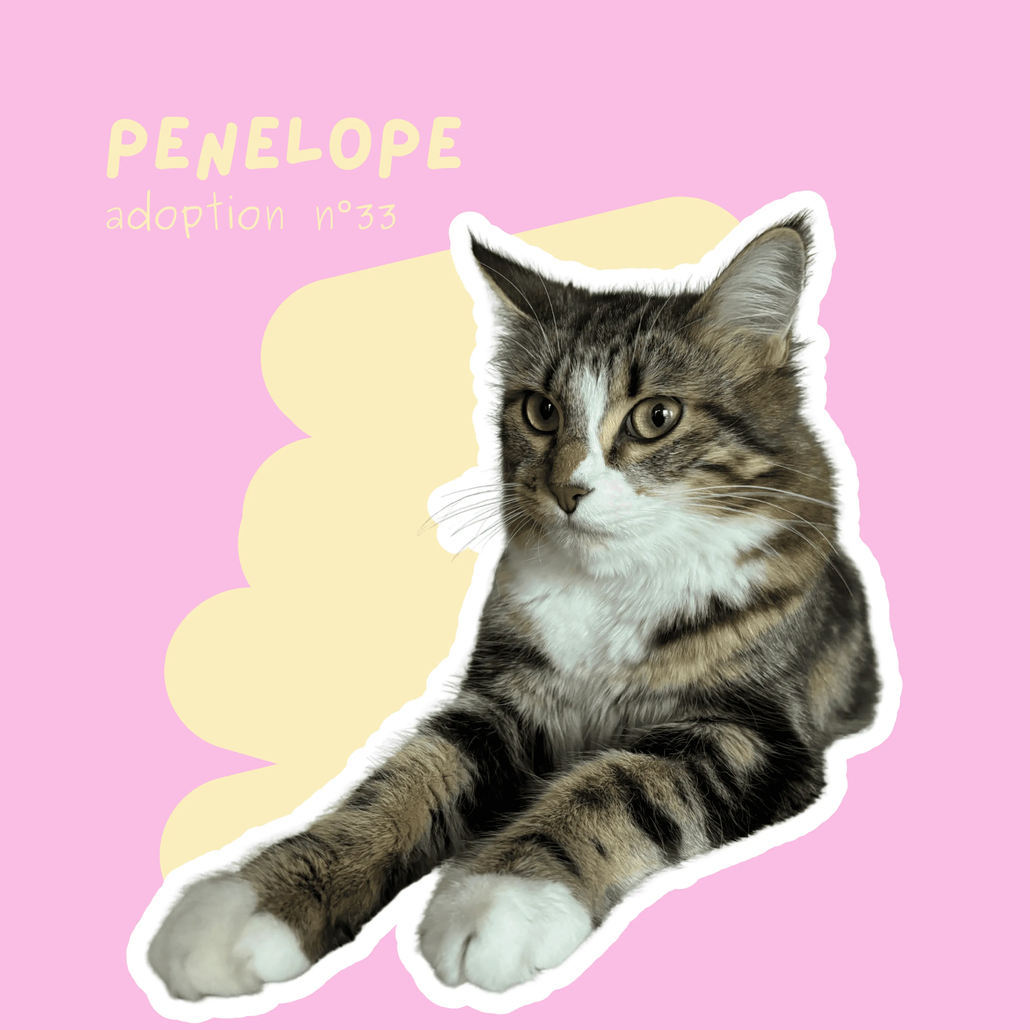 chat-penelope