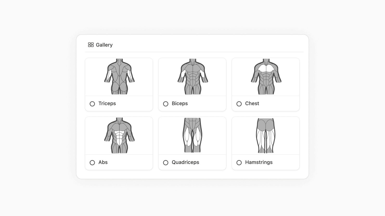 Notion gallery view displaying muscle group covers