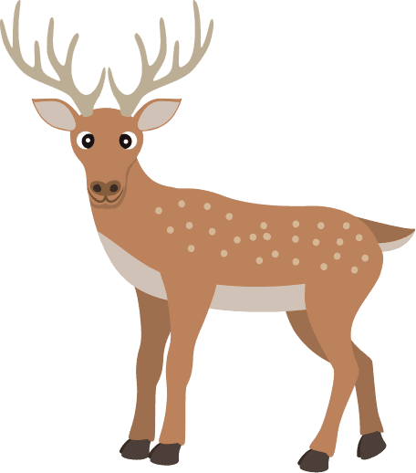 Deer 01