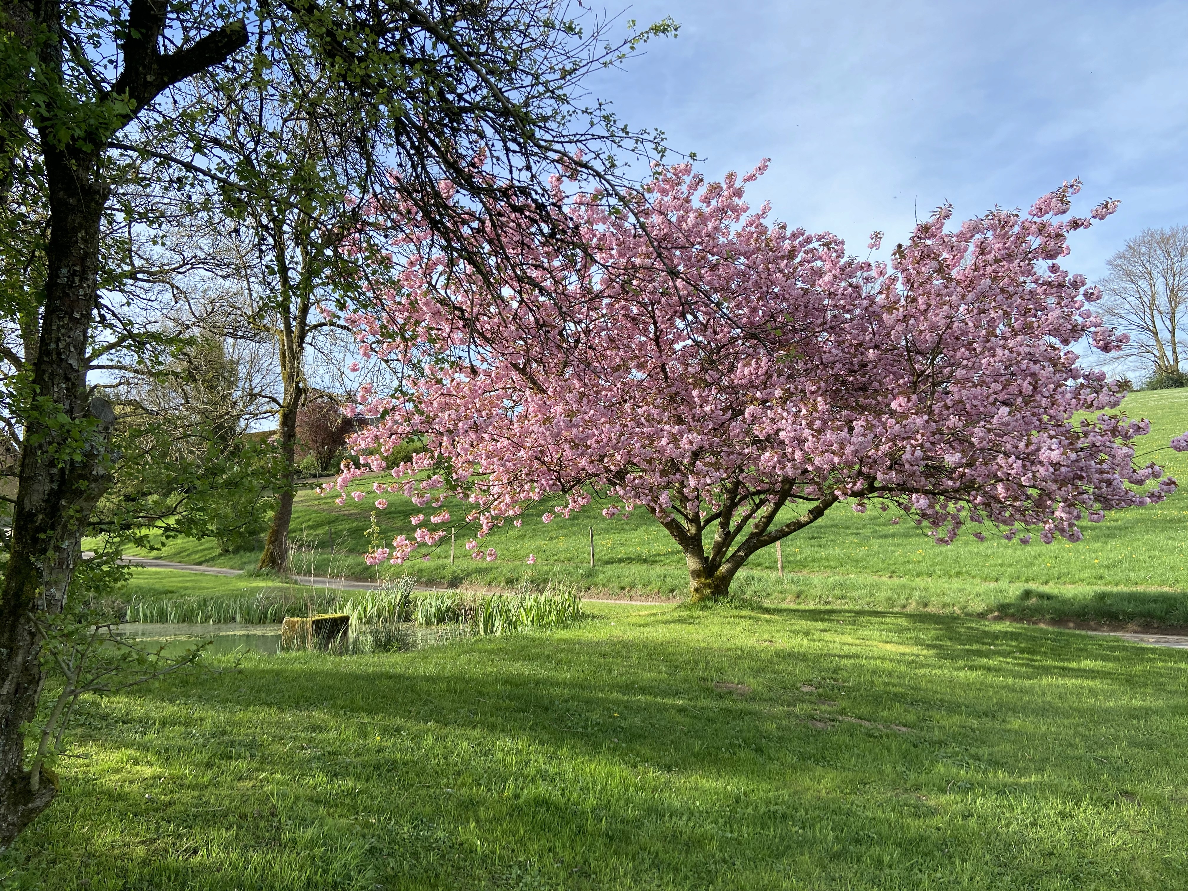 people sitting on chair in front of laptop computers