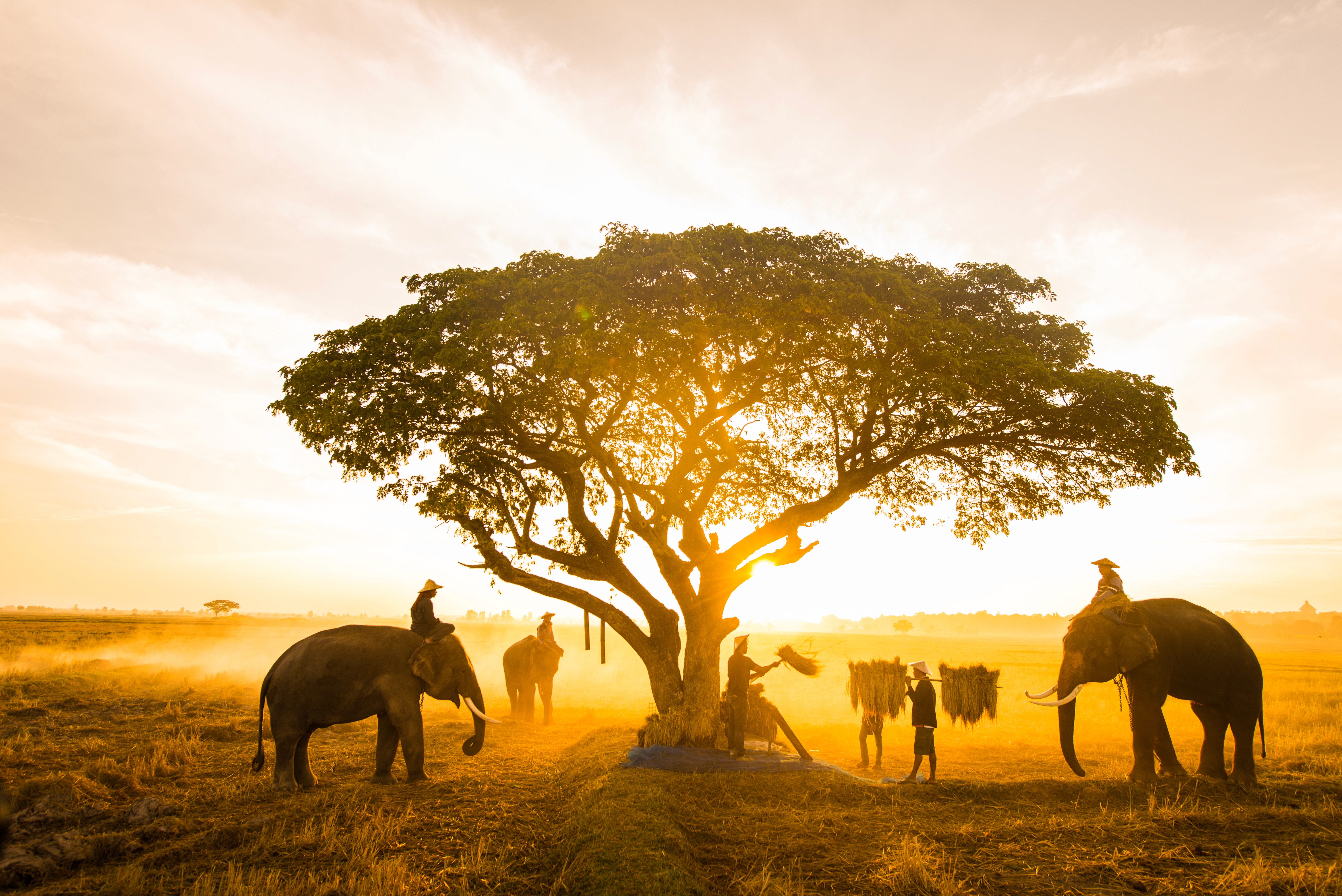 Two men collaborating at a desk, focused on a laptop screen in a dimly lit, professional setting.